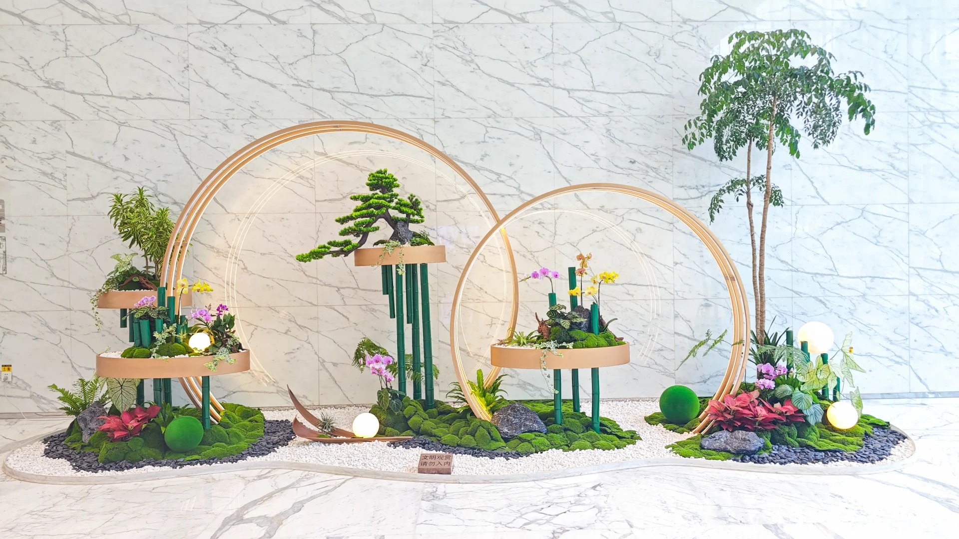 专业花木出租，宁波北仑花木出租的不二之选